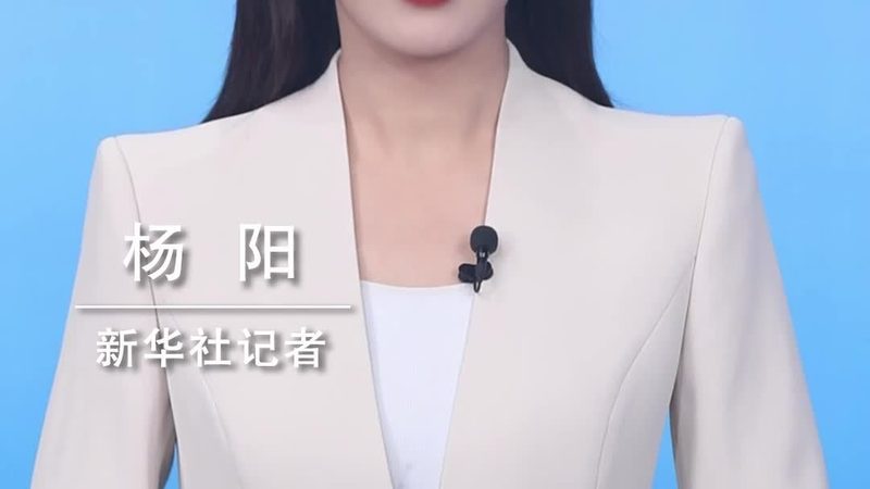 深圳智能语音客服开发系统：构建高效客户服务新篇章**